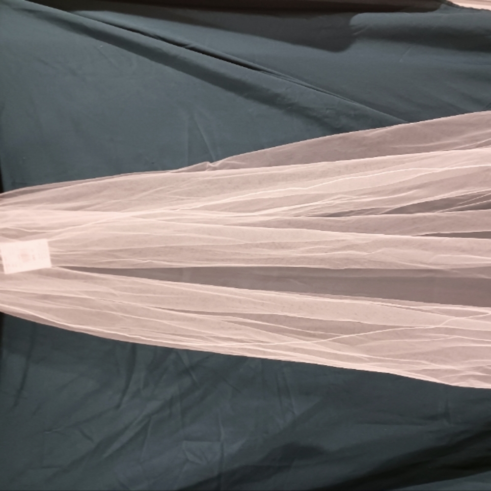 Plain white chapel length veil